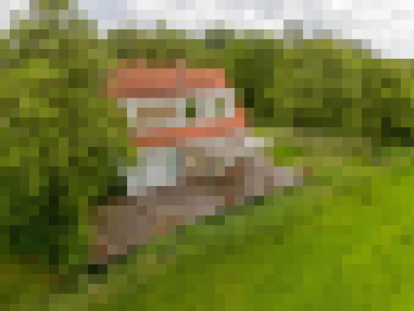 Elderskar 15 Elahuizen thumbnail 38