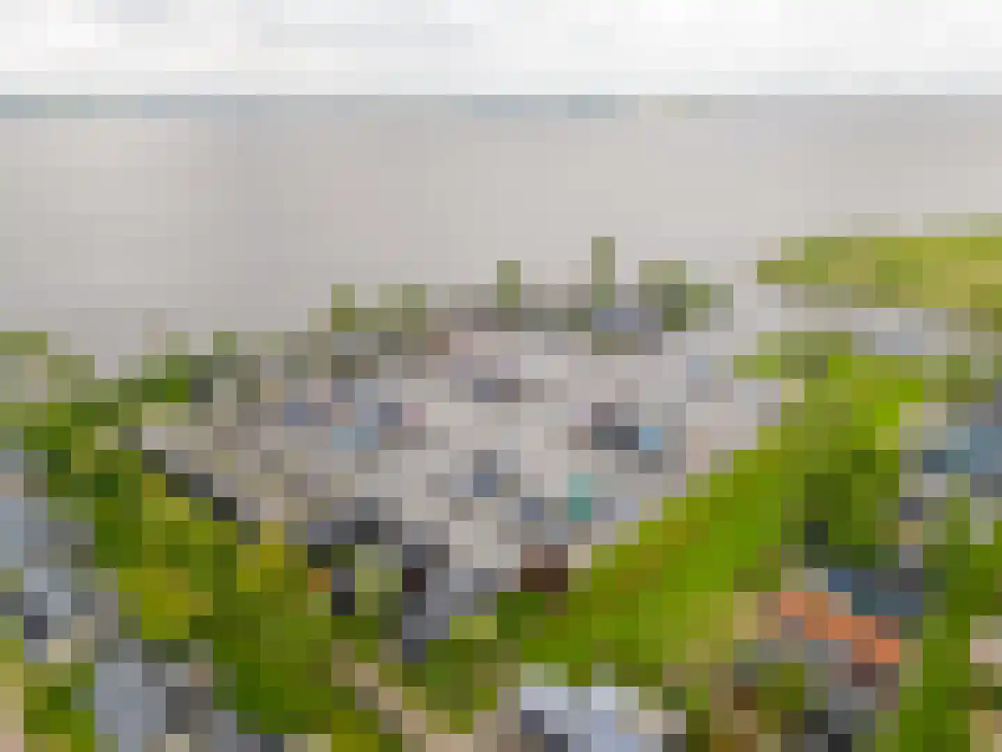Elderskar 15 Elahuizen thumbnail 41