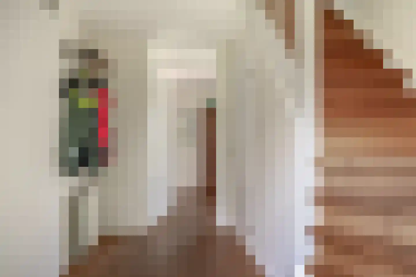 Elderskar 15 Elahuizen thumbnail 7
