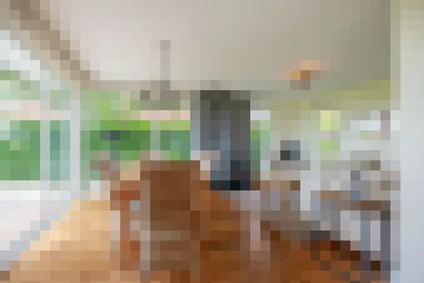 Elderskar 15 Elahuizen thumbnail 9