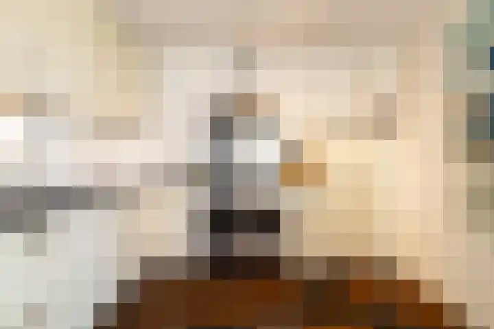 Elderskar 21 Elahuizen thumbnail 10