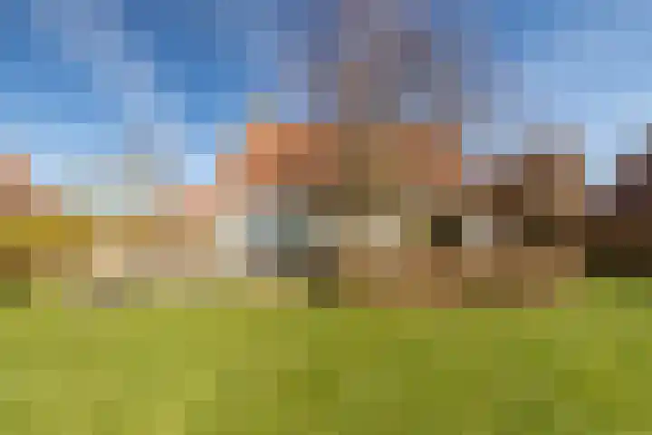 Elderskar 21 Elahuizen thumbnail 27