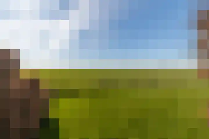 Elderskar 21 Elahuizen thumbnail 29