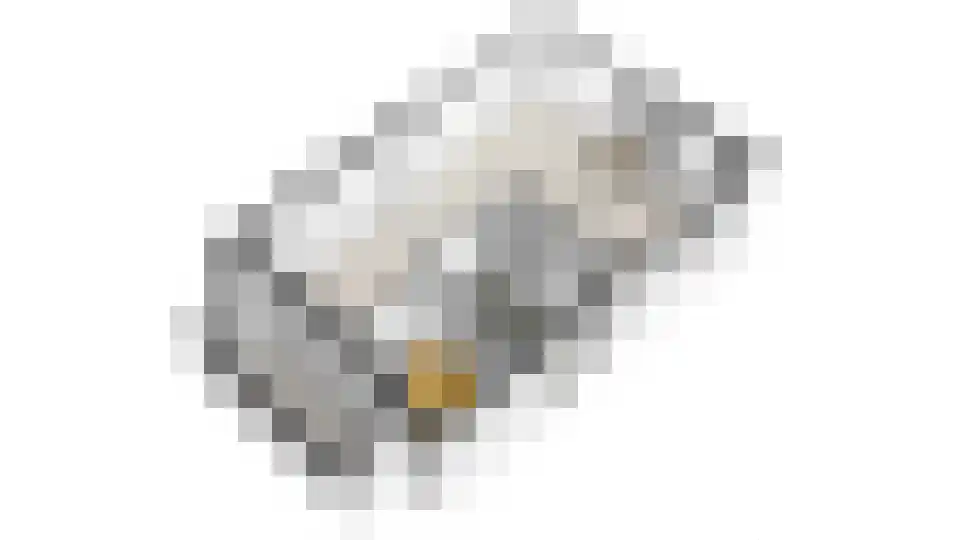 Elderskar 21 Elahuizen thumbnail 33