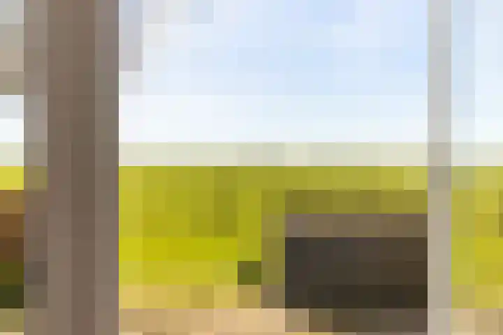 Elderskar 21 Elahuizen thumbnail 6