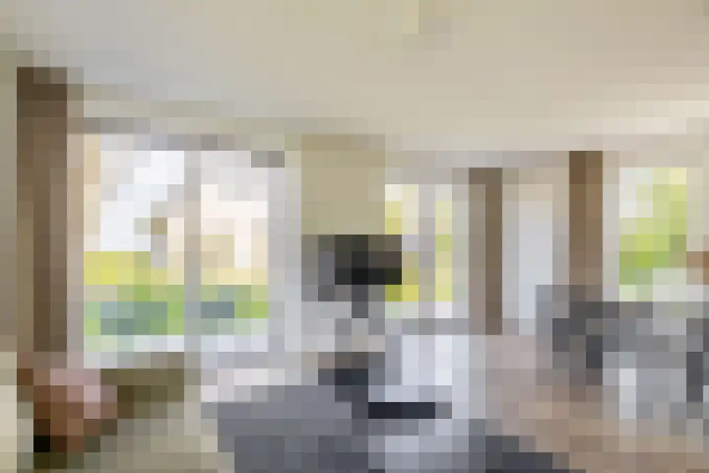 Elderskar 8 Elahuizen thumbnail 10