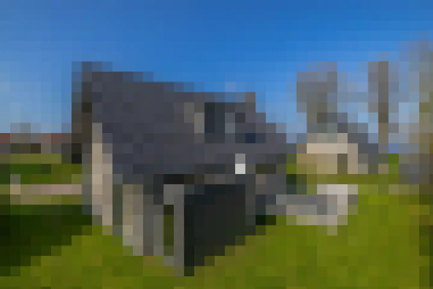 Elderskar 8 Elahuizen thumbnail 25