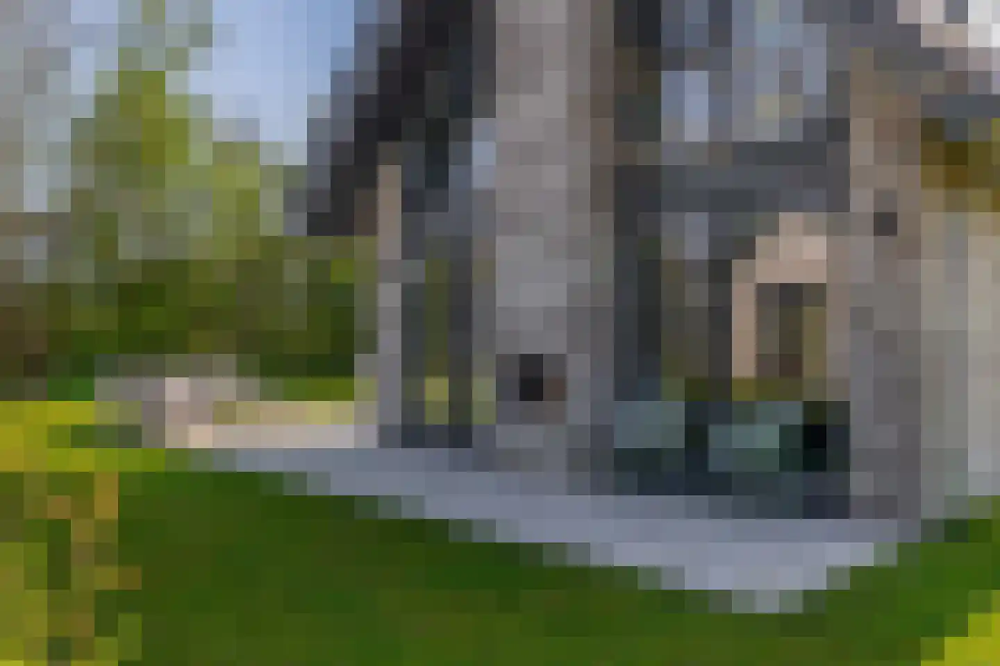 Elderskar 8 Elahuizen thumbnail 28