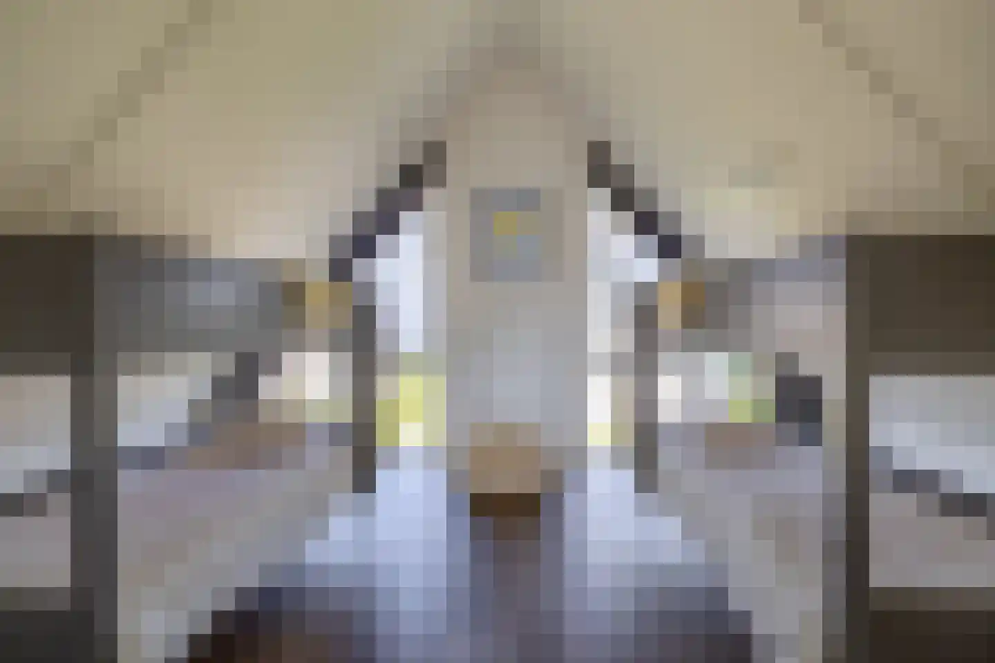 Elderskar 8 Elahuizen thumbnail 30