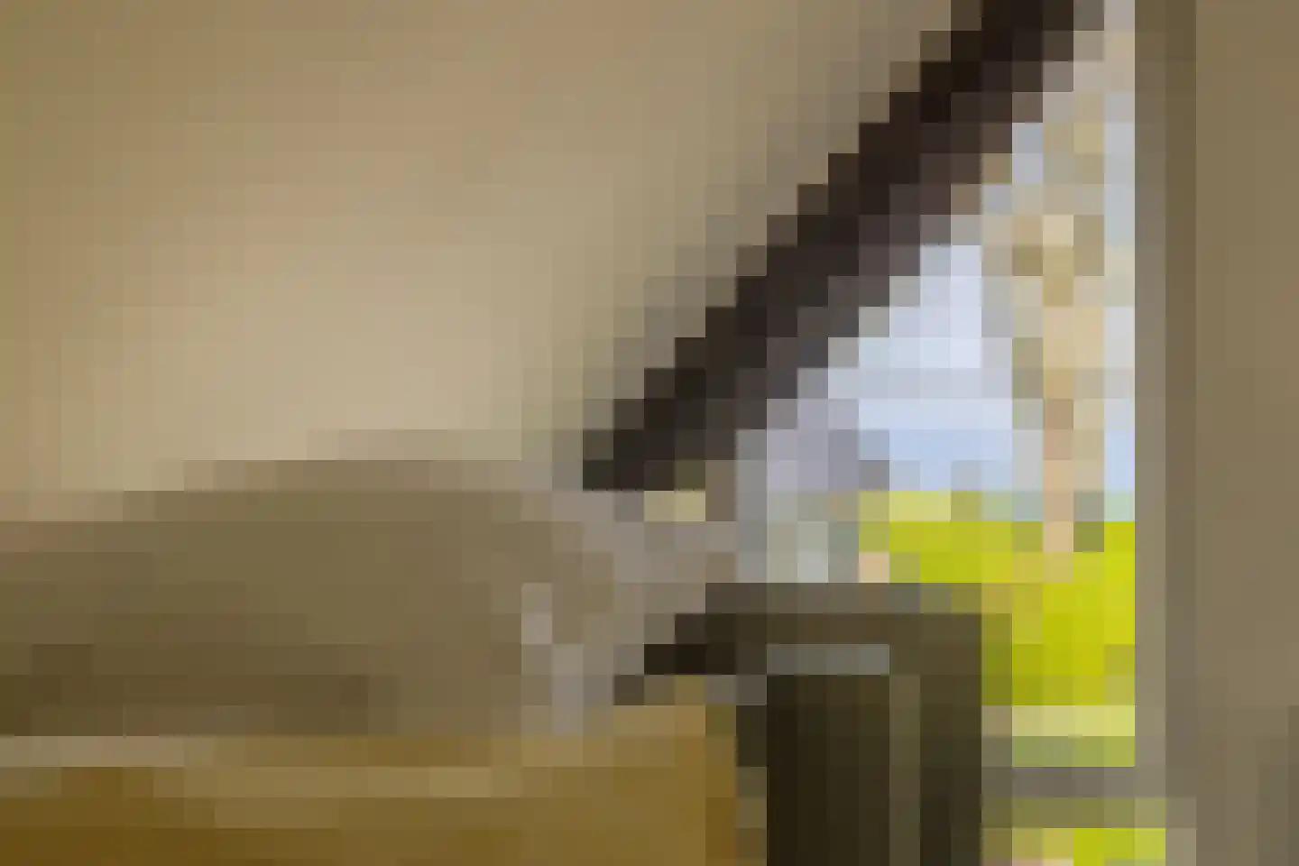 Elderskar 8 Elahuizen thumbnail 31