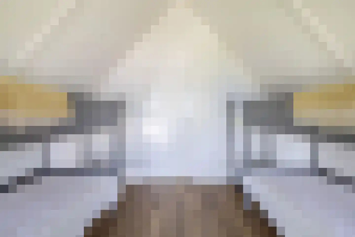 Elderskar 8 Elahuizen thumbnail 32