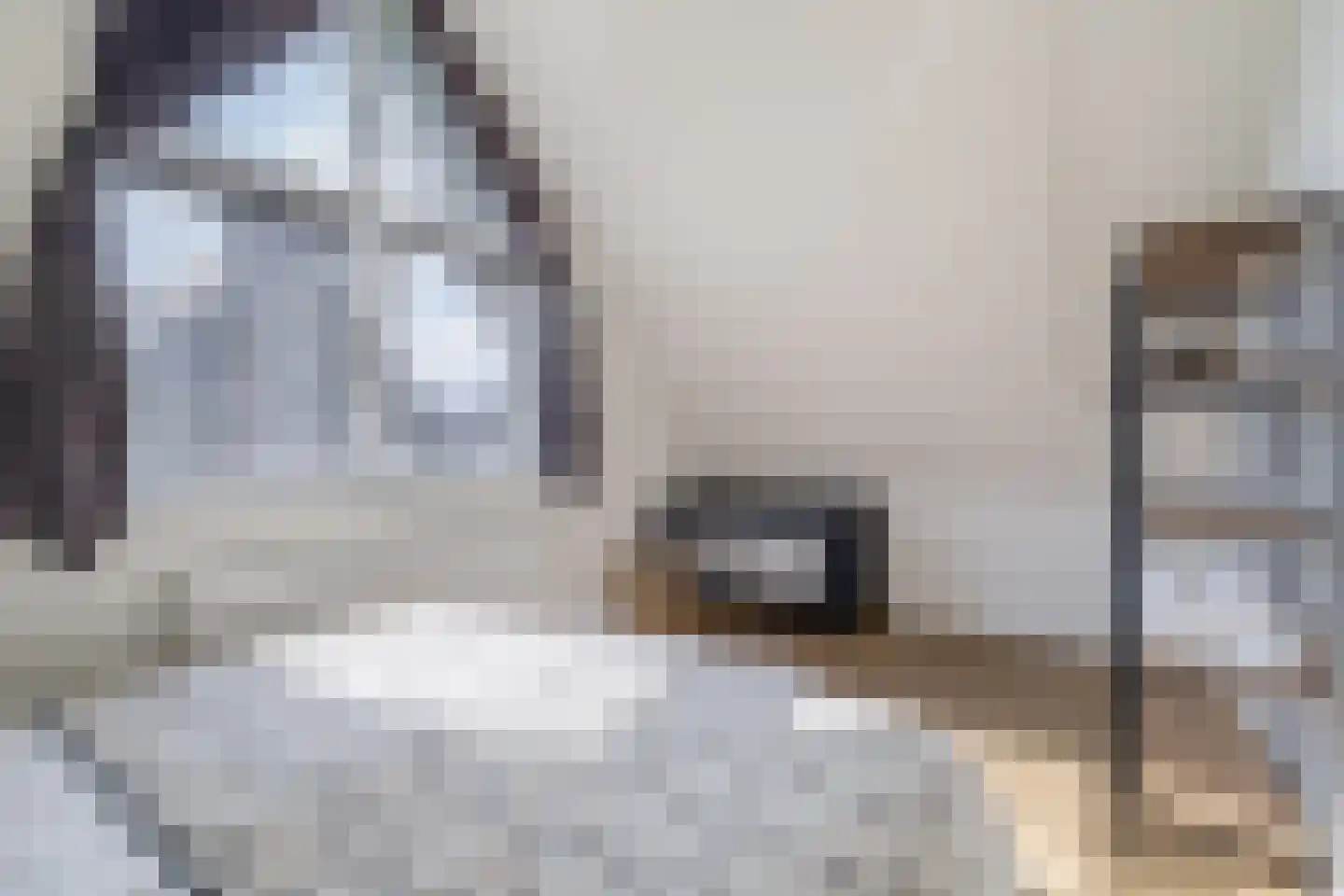 Elderskar 8 Elahuizen thumbnail 35