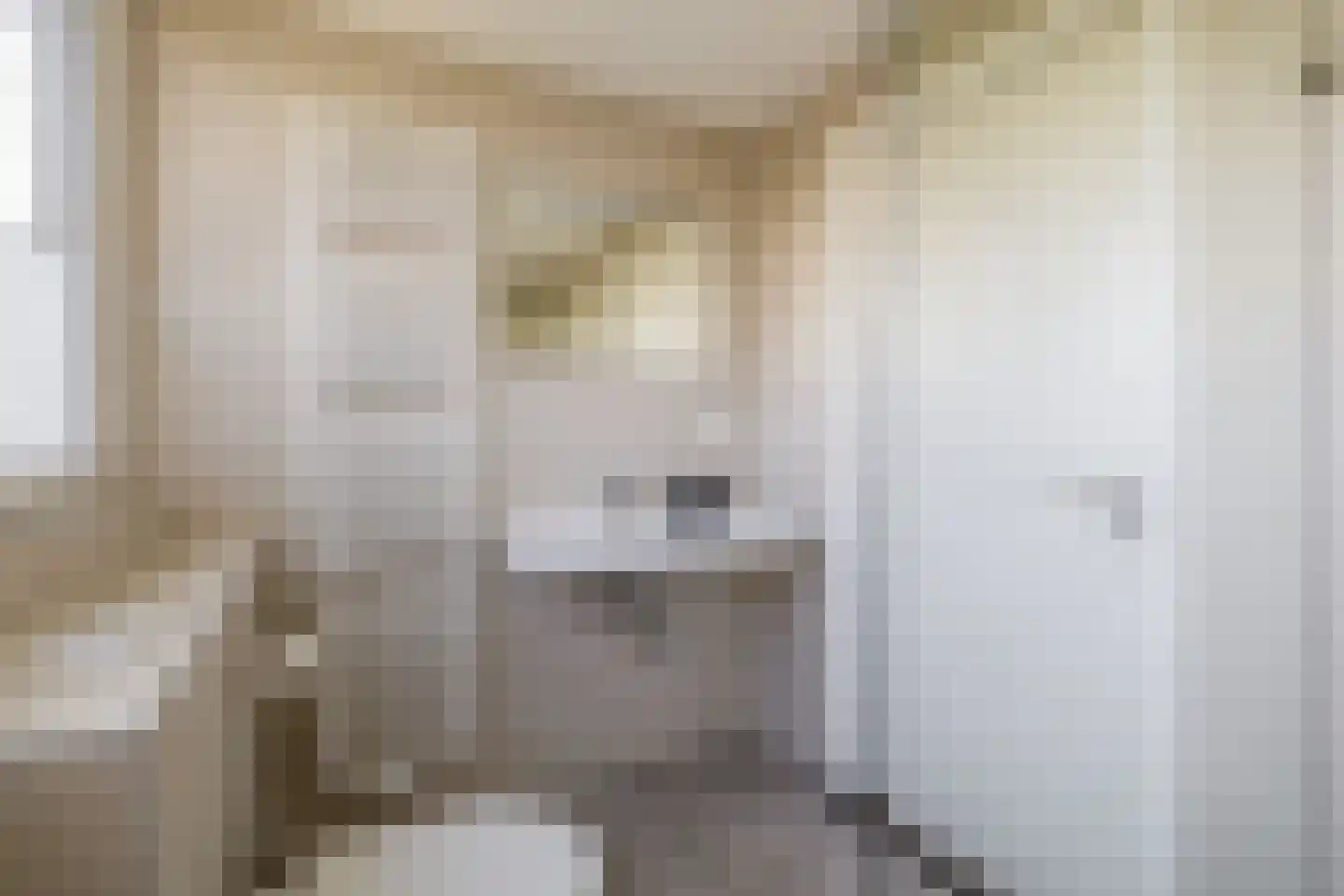 Elderskar 8 Elahuizen thumbnail 37