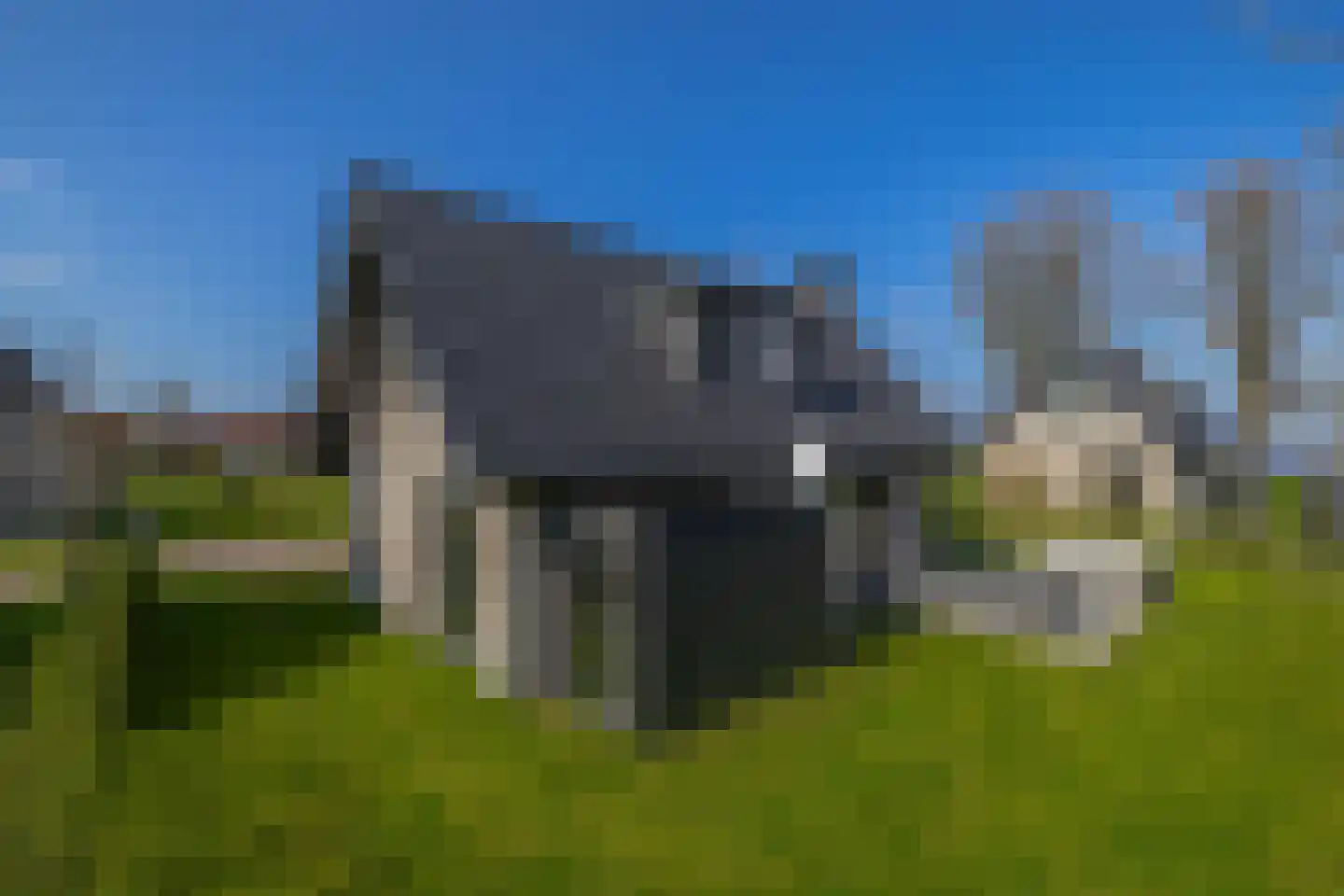 Elderskar 8 Elahuizen thumbnail 39