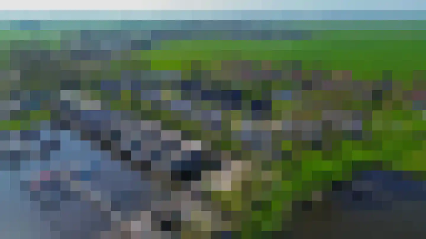 Elderskar 8 Elahuizen thumbnail 52
