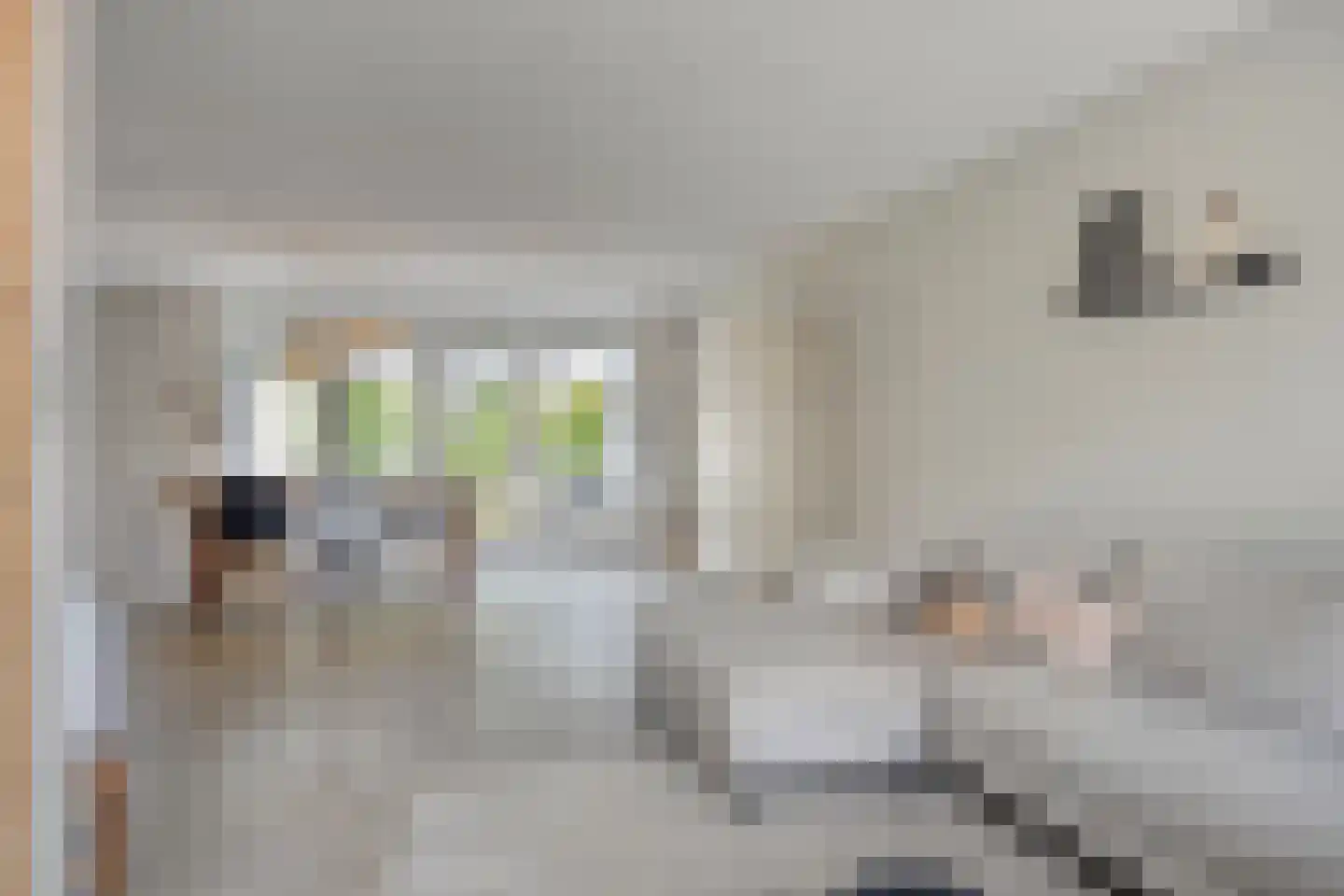 Eldersveld 28 Roden thumbnail 10