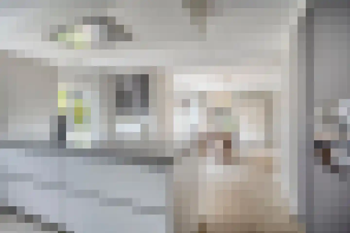 Eldersveld 28 Roden thumbnail 19