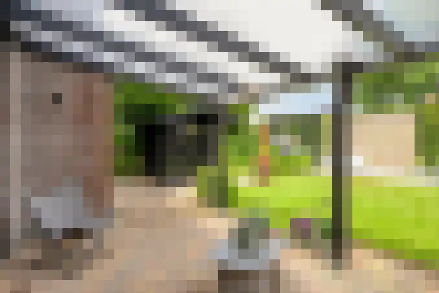 Eldersveld 28 Roden thumbnail 40