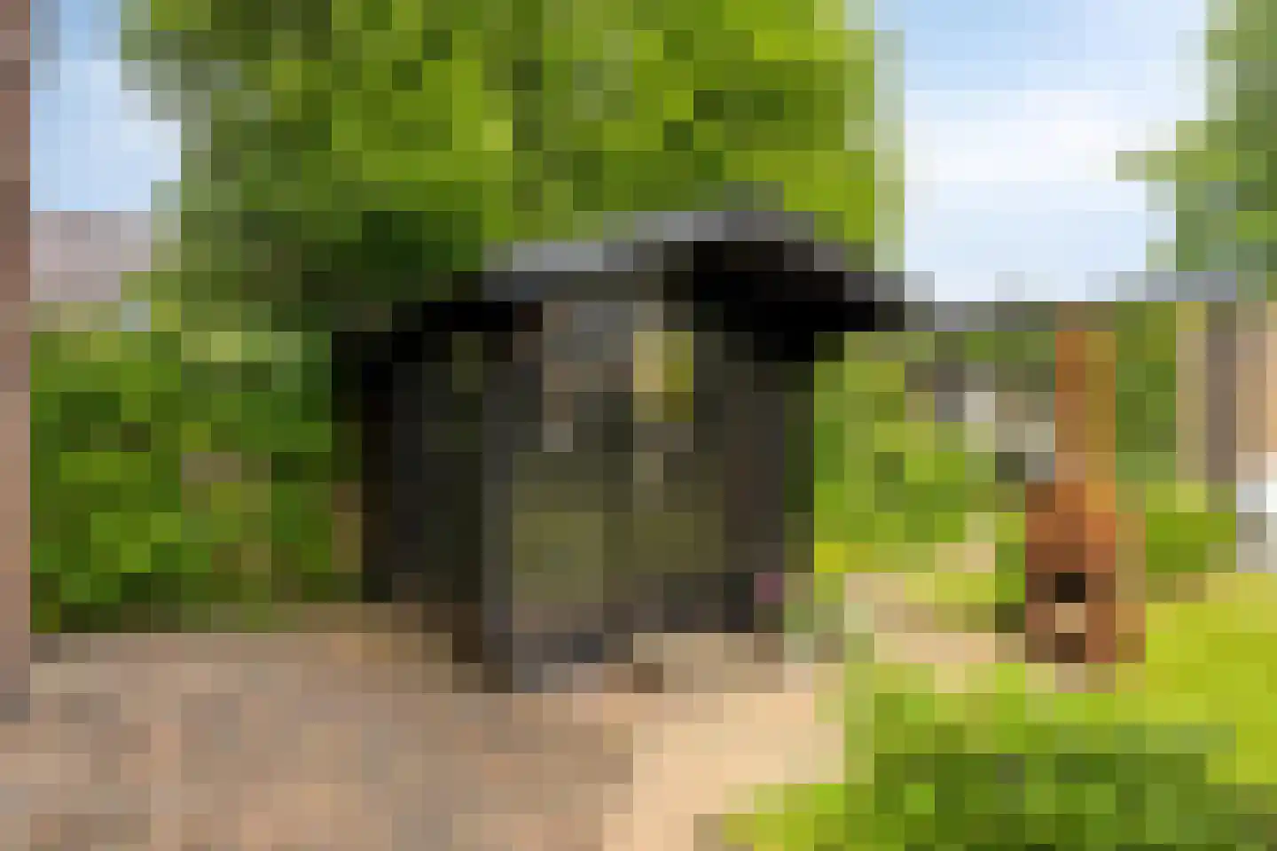 Eldersveld 28 Roden thumbnail 42