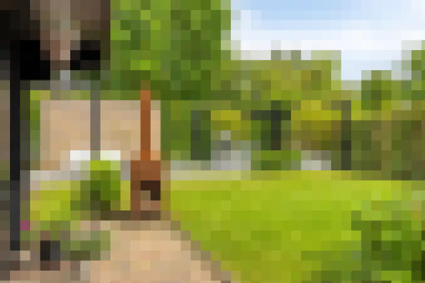Eldersveld 28 Roden thumbnail 44