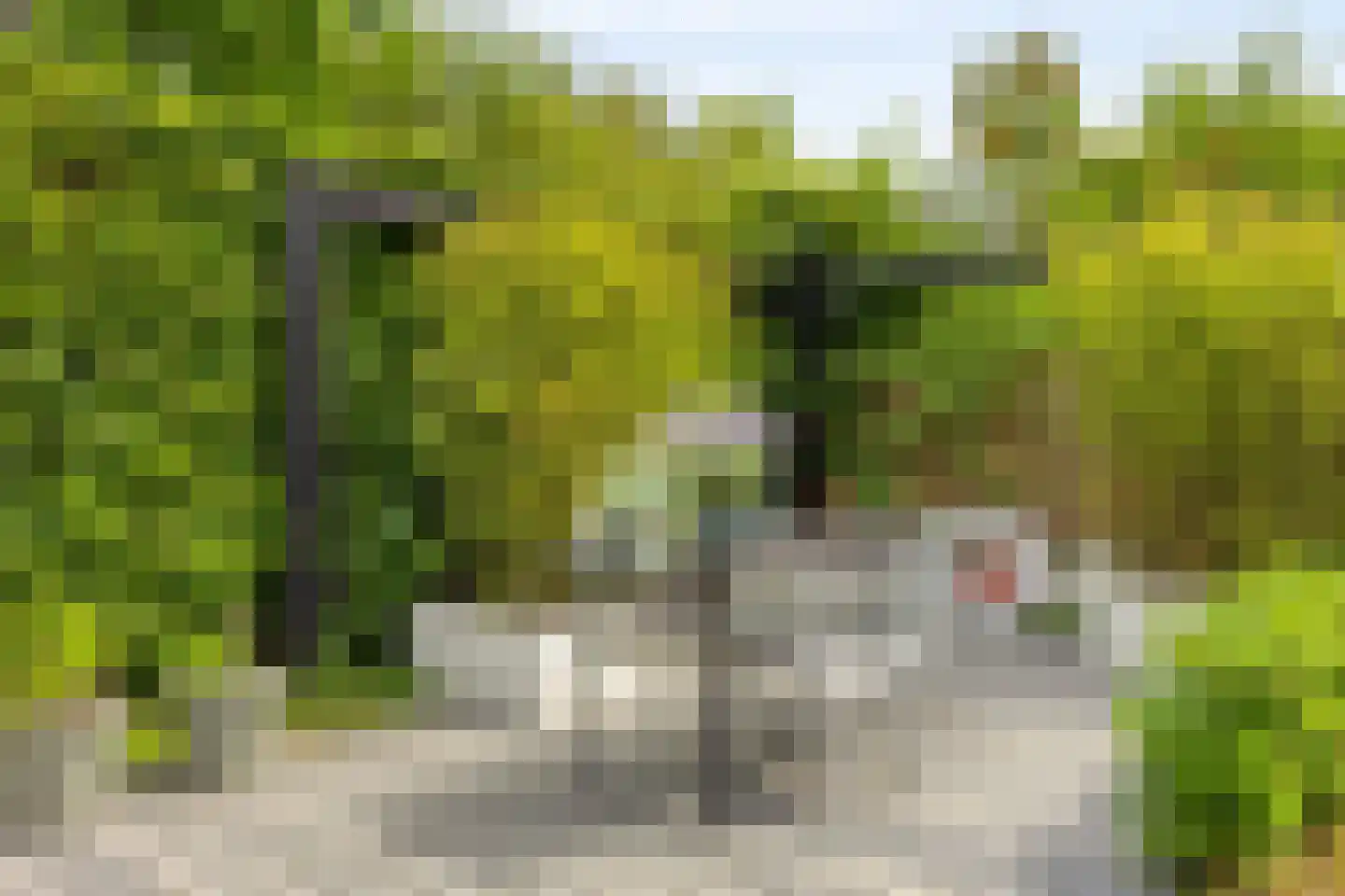 Eldersveld 28 Roden thumbnail 48