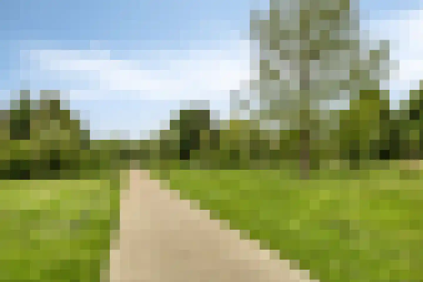 Eldersveld 28 Roden thumbnail 50
