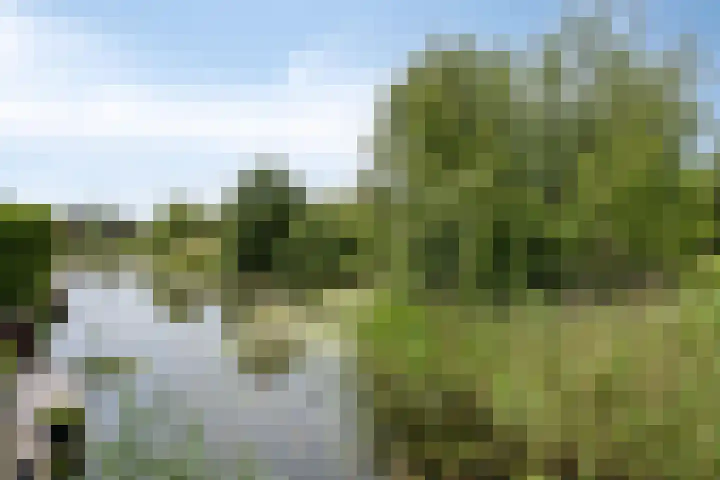 Eldersveld 28 Roden thumbnail 51