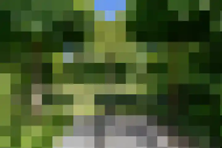 Eldersveld 34 Roden thumbnail 15