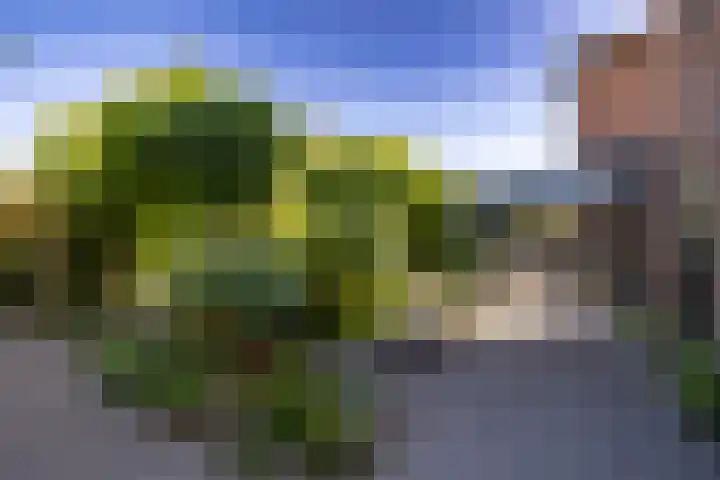 Eldersveld 34 Roden thumbnail 19