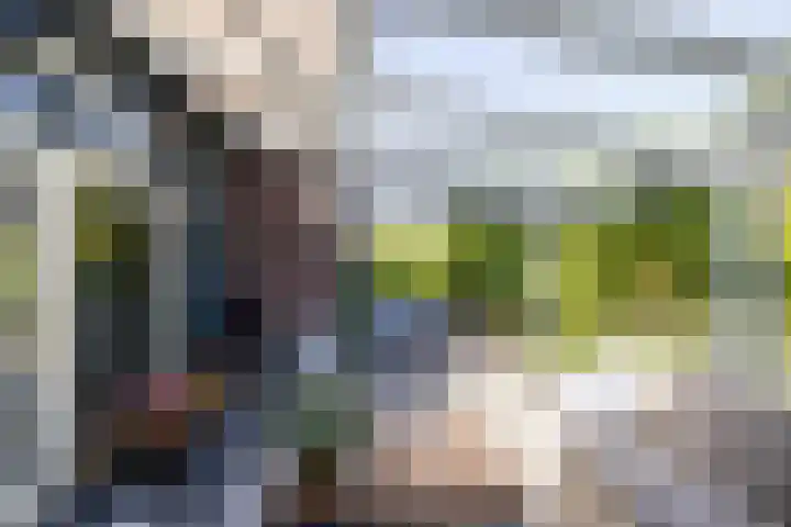 Eldersveld 34 Roden thumbnail 20