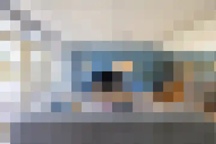 Eldersveld 34 Roden thumbnail 30