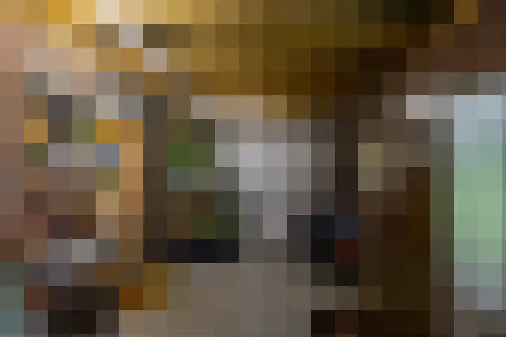 Eldersveld 34 Roden thumbnail 40