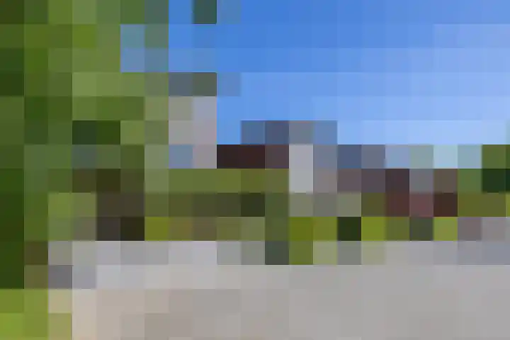 Eldersveld 34 Roden thumbnail 9