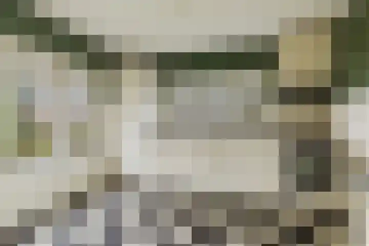 Eldertstraat 1 c Klein Zundert thumbnail 4
