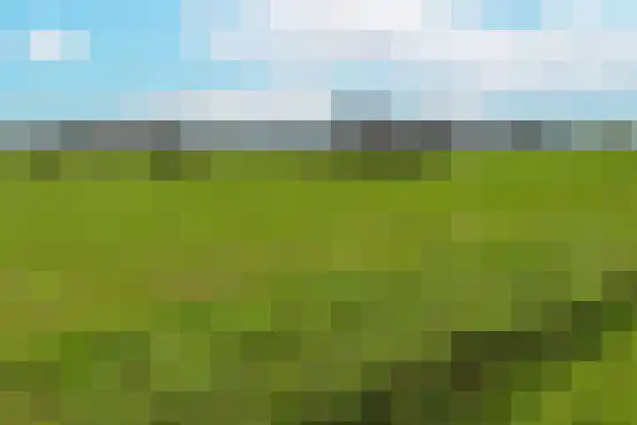 Eldertstraat 1 c Klein Zundert thumbnail 6