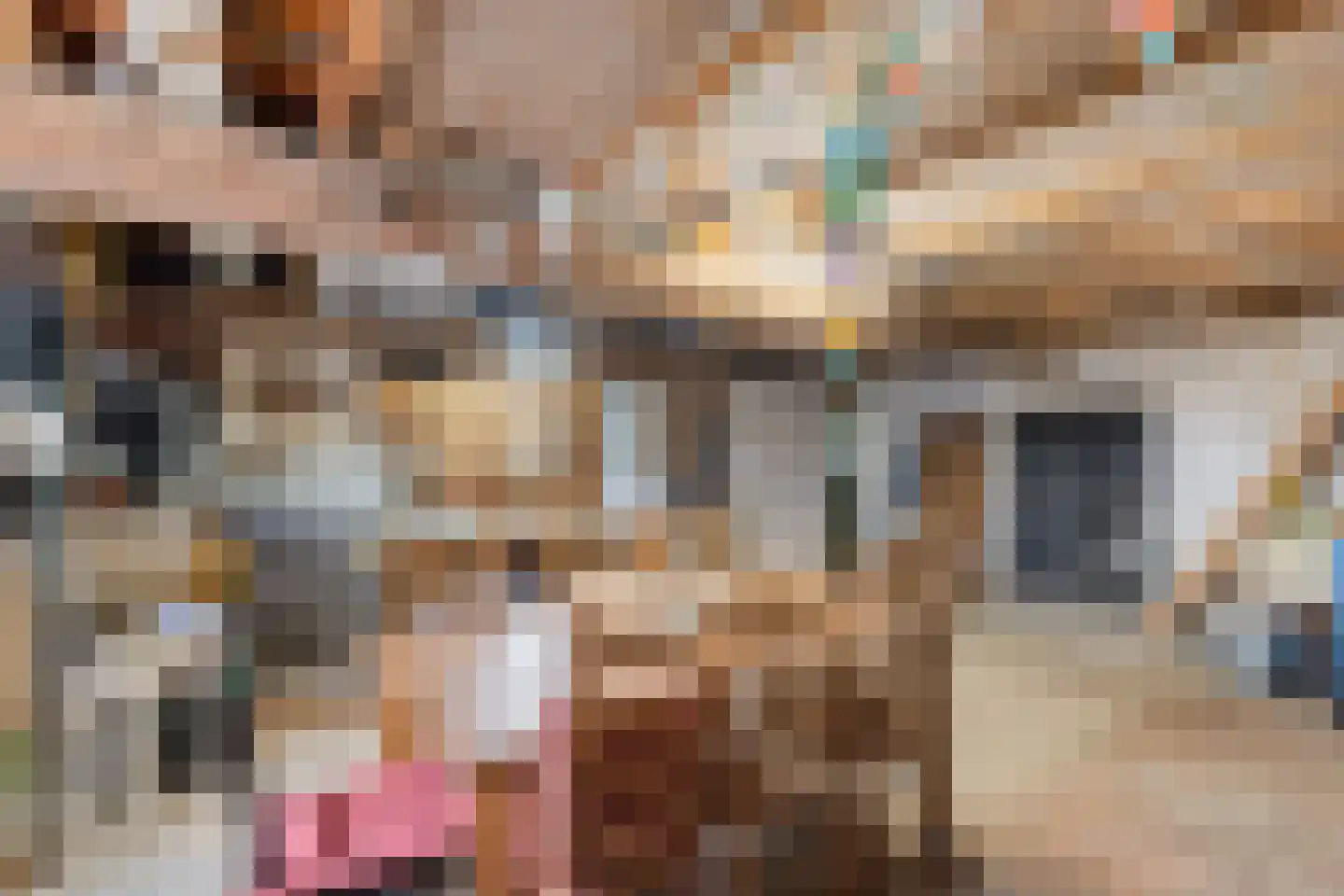 Eldertstraat 5 Klein Zundert thumbnail 26