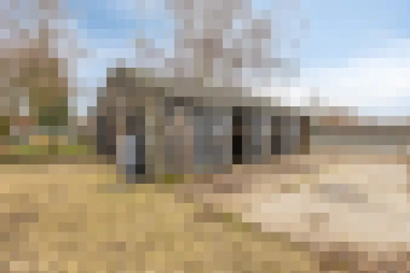 Eldertstraat 5 Klein Zundert thumbnail 4