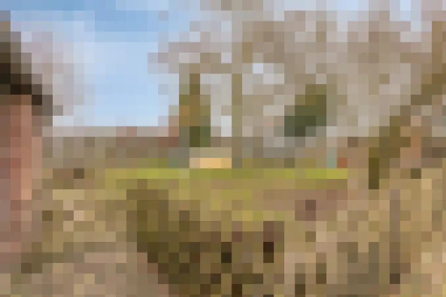 Eldertstraat 5 Klein Zundert thumbnail 40