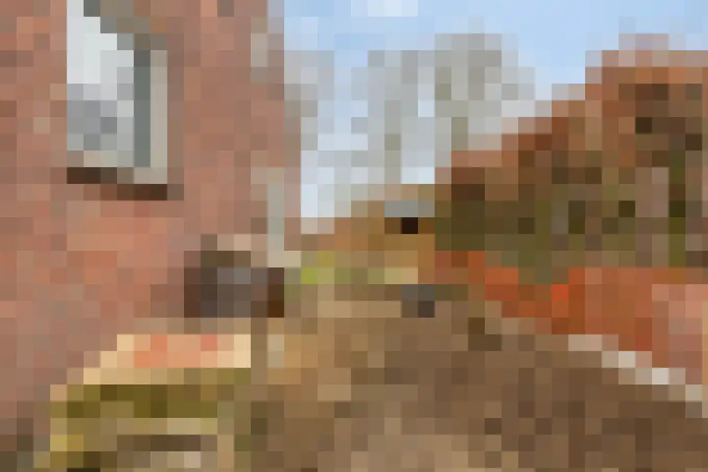 Eldertstraat 5 Klein Zundert thumbnail 44