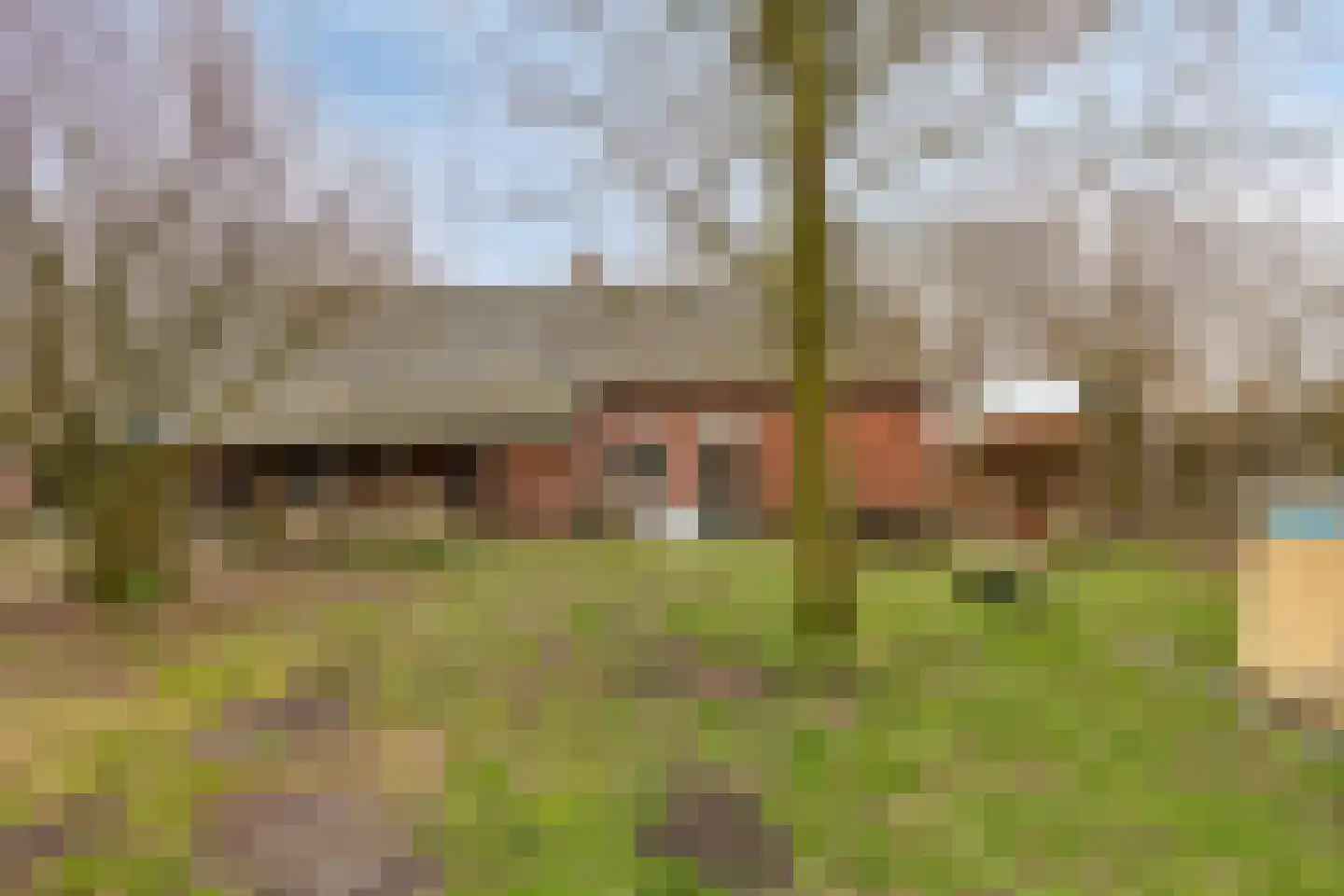 Eldertstraat 5 Klein Zundert thumbnail 45
