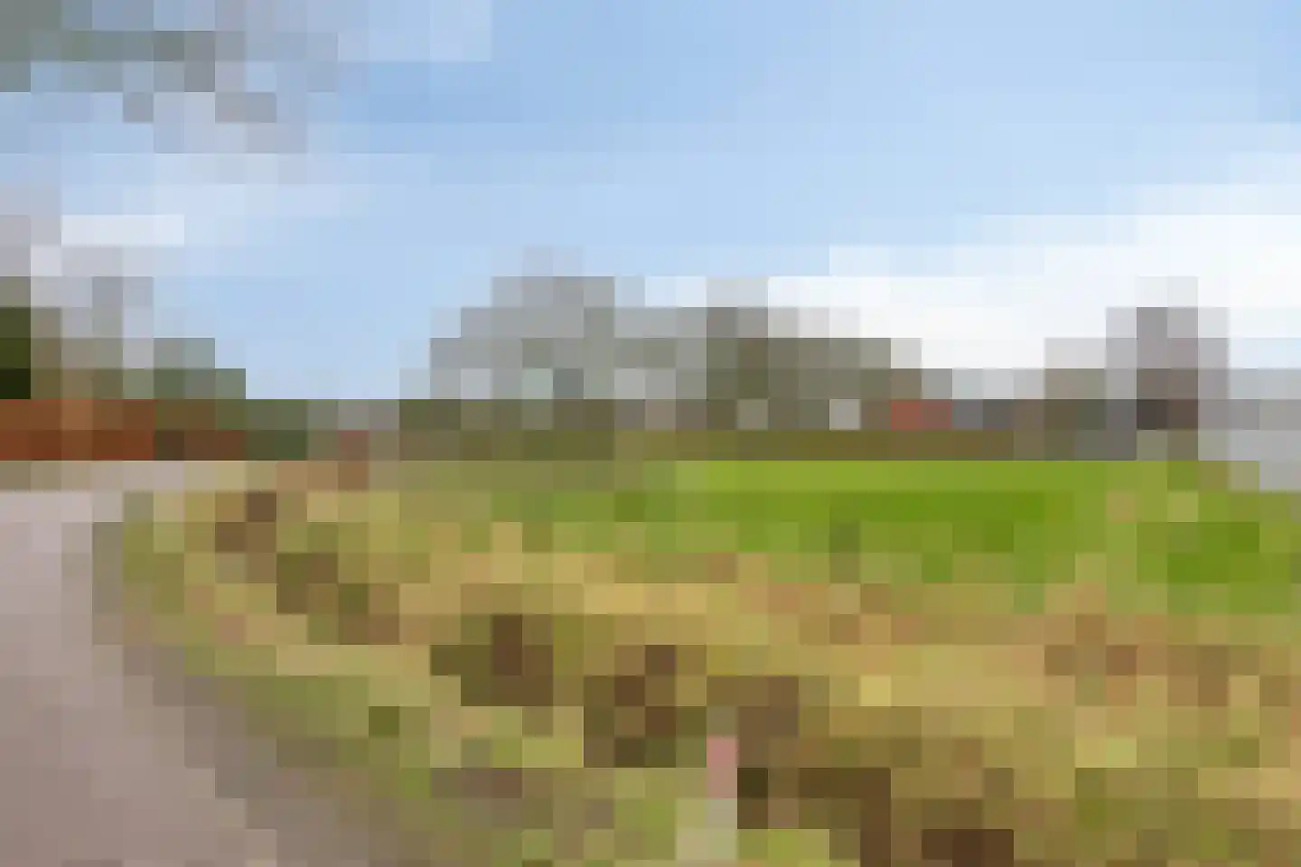 Eldertstraat 5 Klein Zundert thumbnail 48