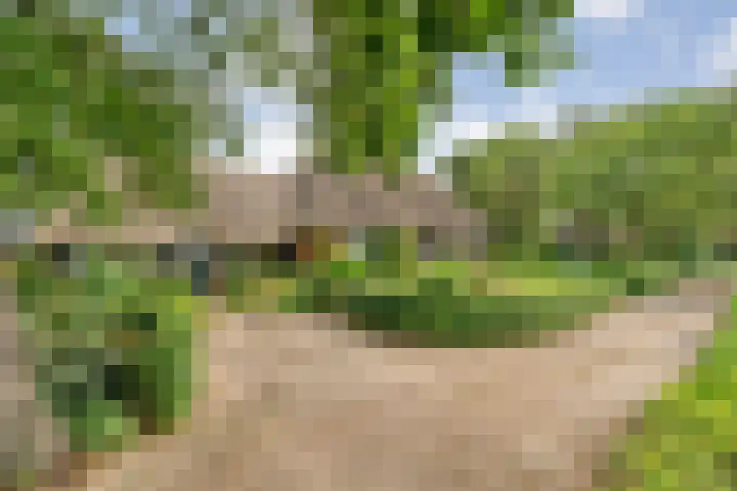 Eldijk 18 Dalen