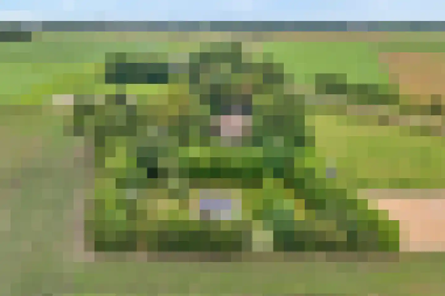 Eldijk 18 Dalen thumbnail 10