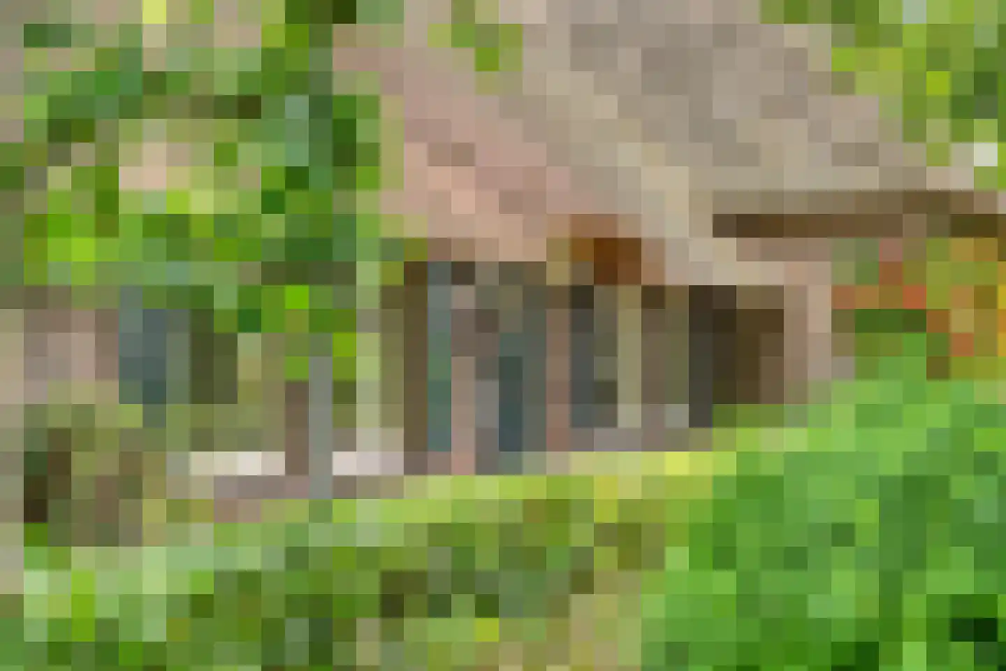 Eldijk 18 Dalen thumbnail 4