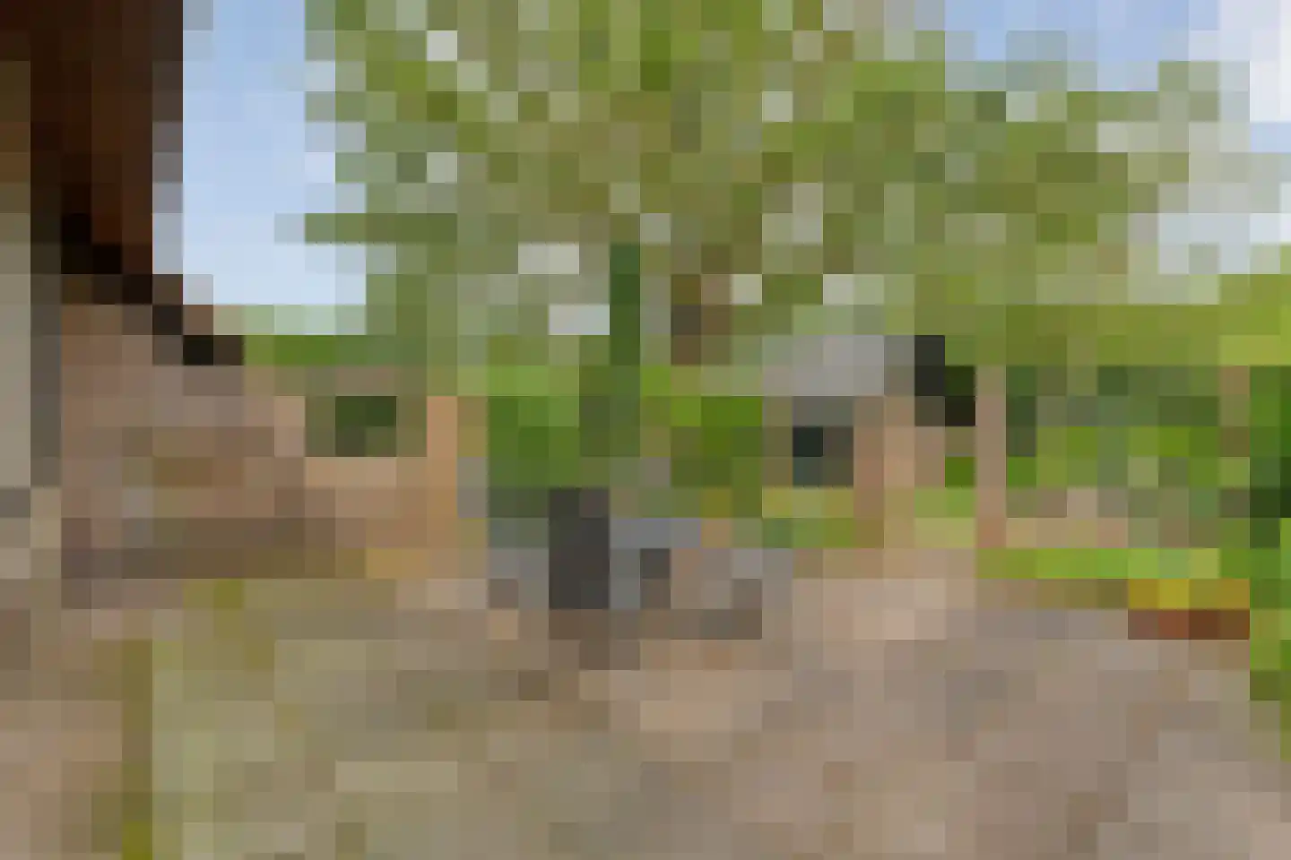 Eldijk 18 Dalen thumbnail 53