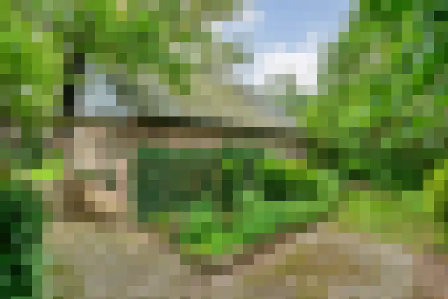 Eldijk 18 Dalen thumbnail 56