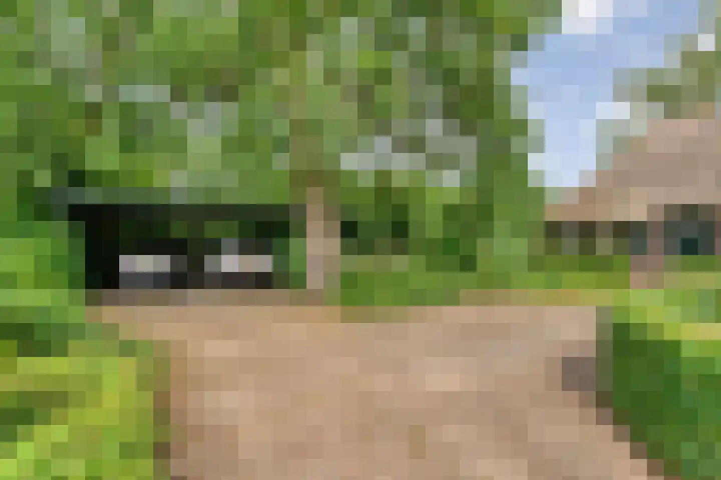 Eldijk 18 Dalen thumbnail 6