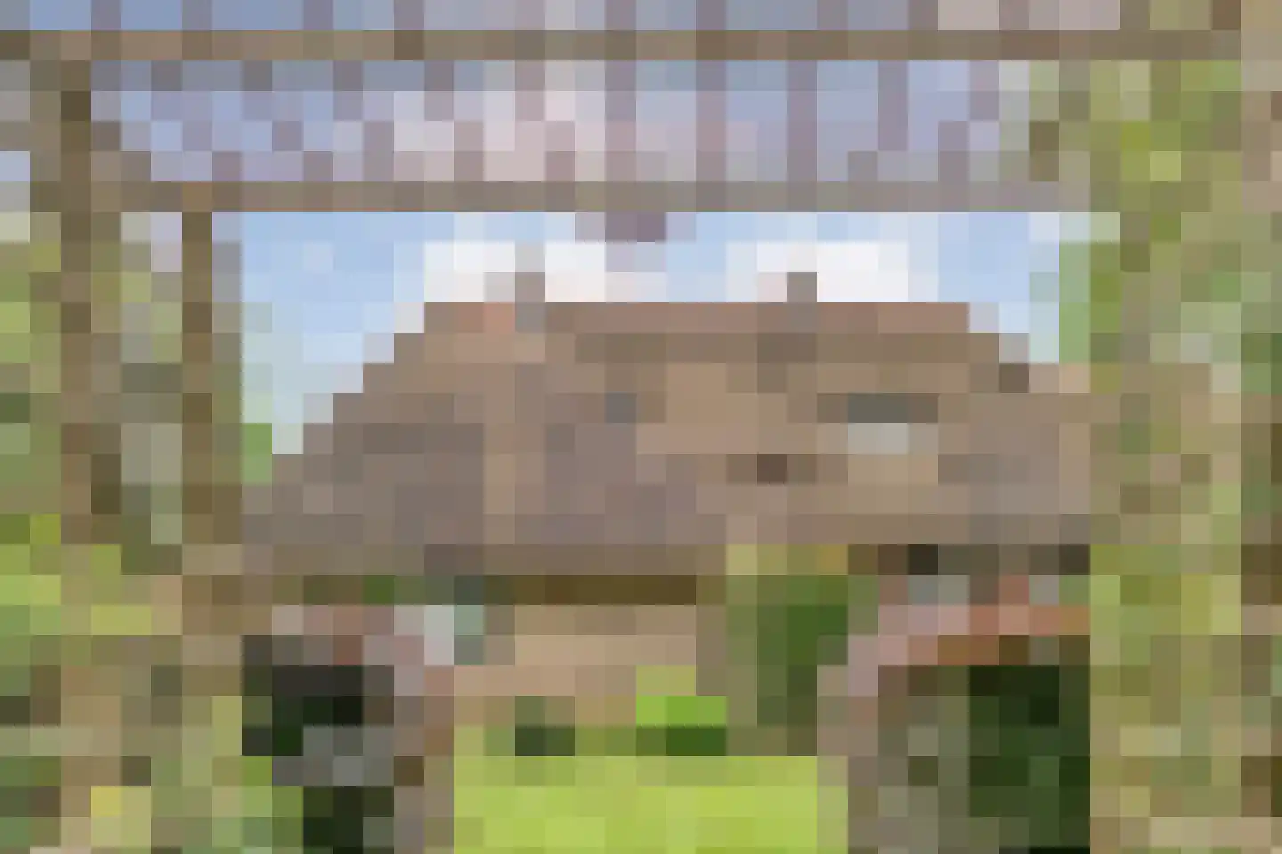 Eldijk 18 Dalen thumbnail 60