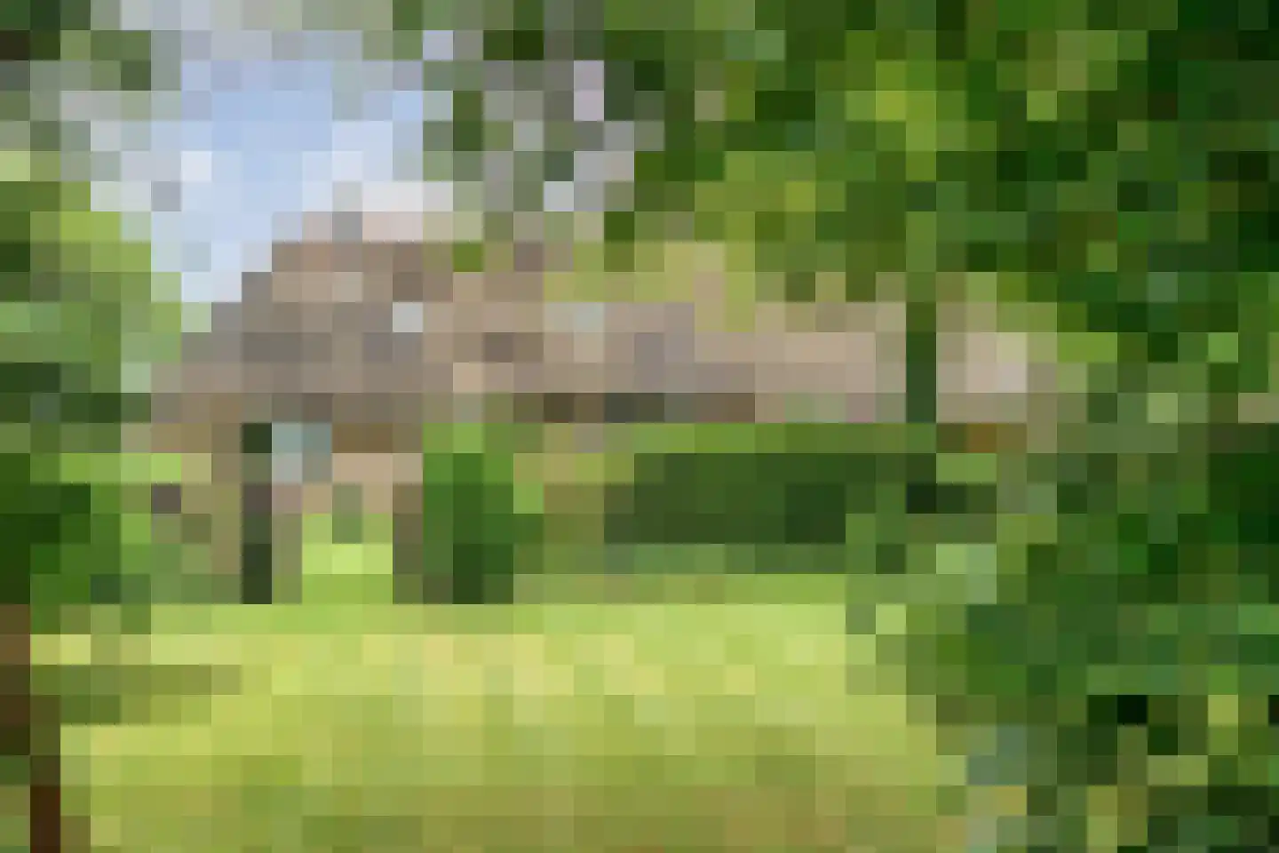 Eldijk 18 Dalen thumbnail 61