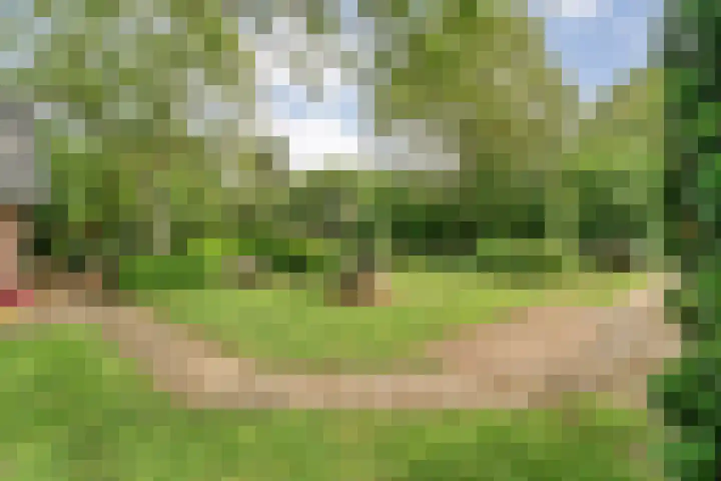 Eldijk 18 Dalen thumbnail 64